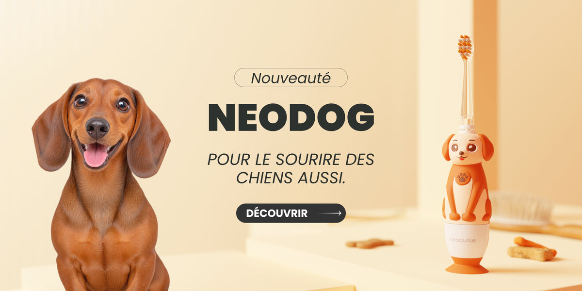 NEODOG NEOPULSE brosses à dents pour chien