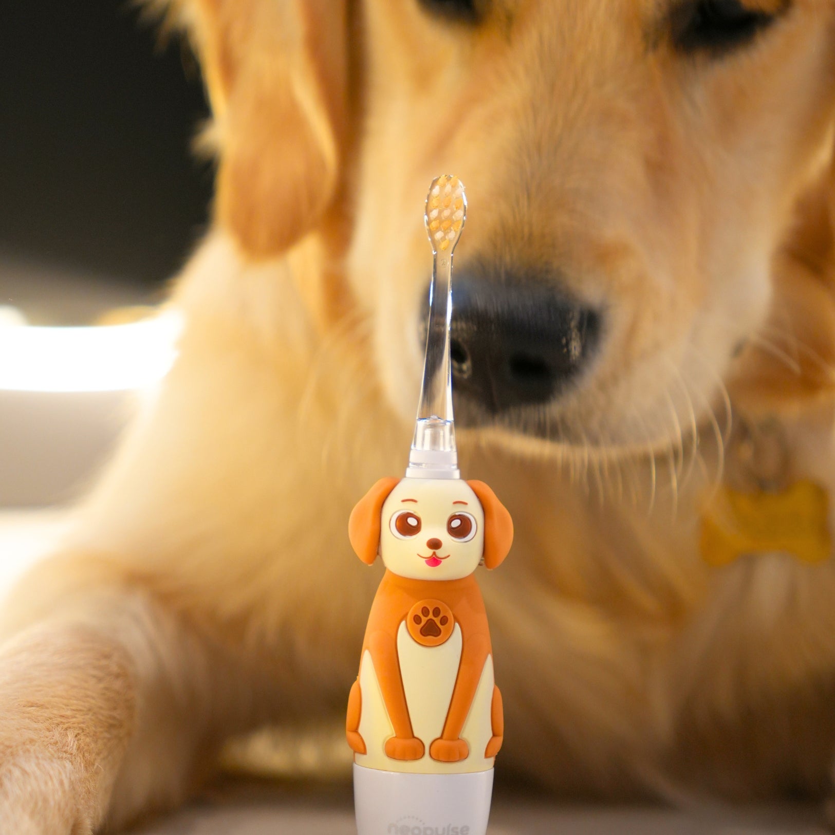 Brosse à dent chien avec labrador 