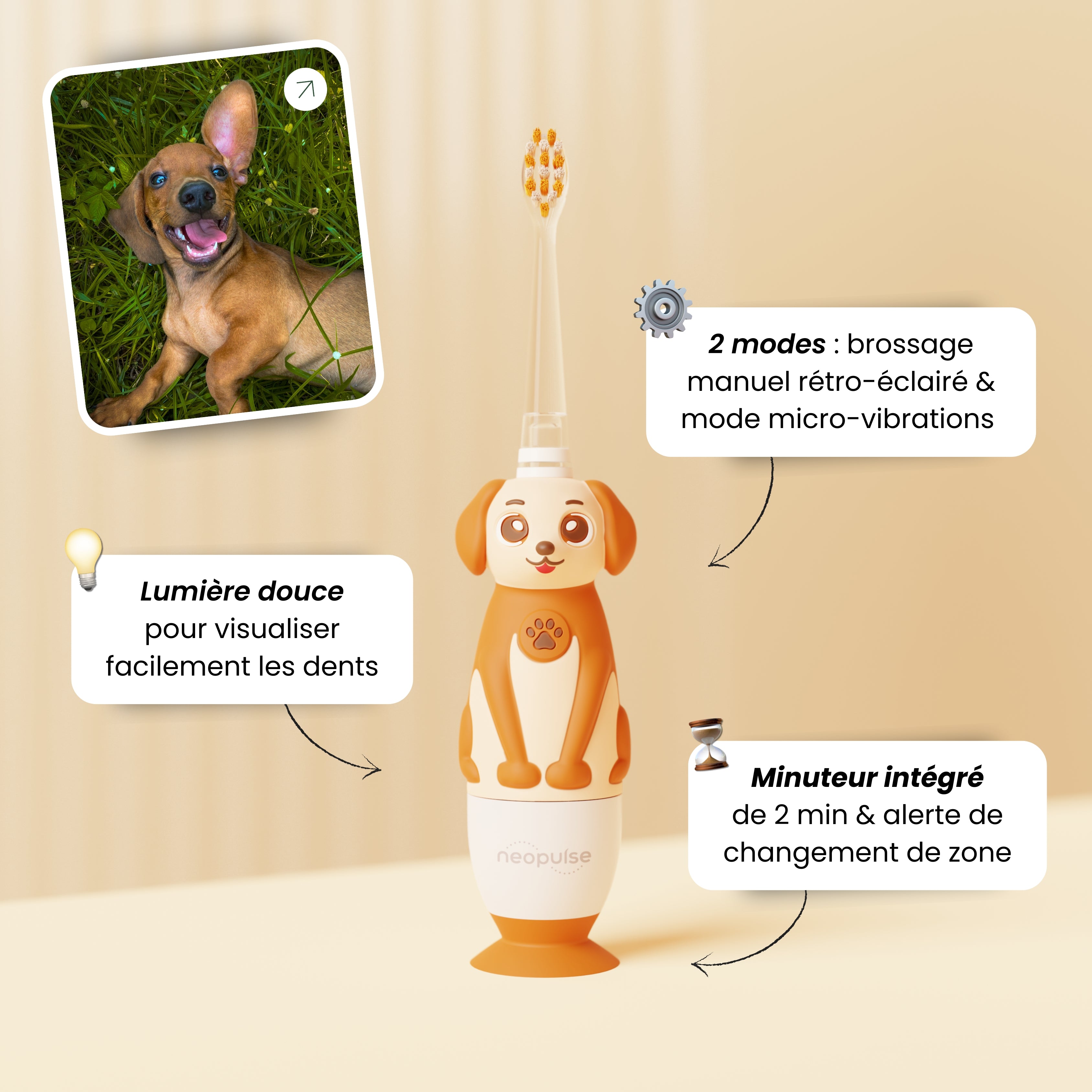 Brossage des dents chiens