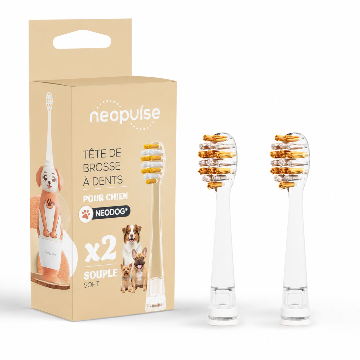 Pack de têtes de brosse NEODOG
